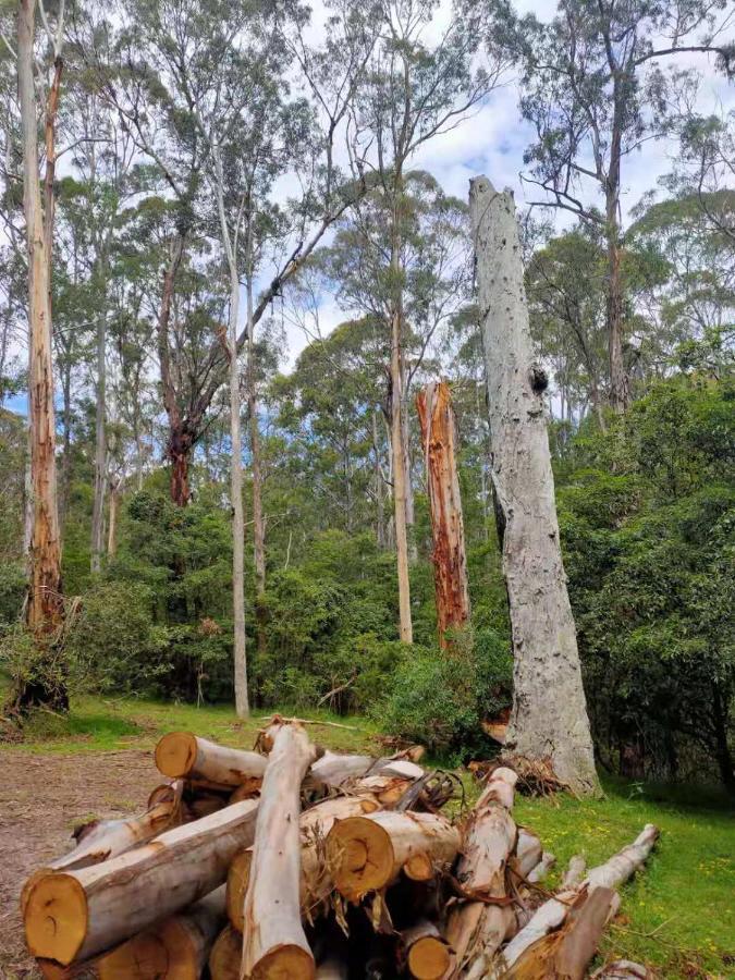 Lakes Entrance Log Cabins Экстерьер фото