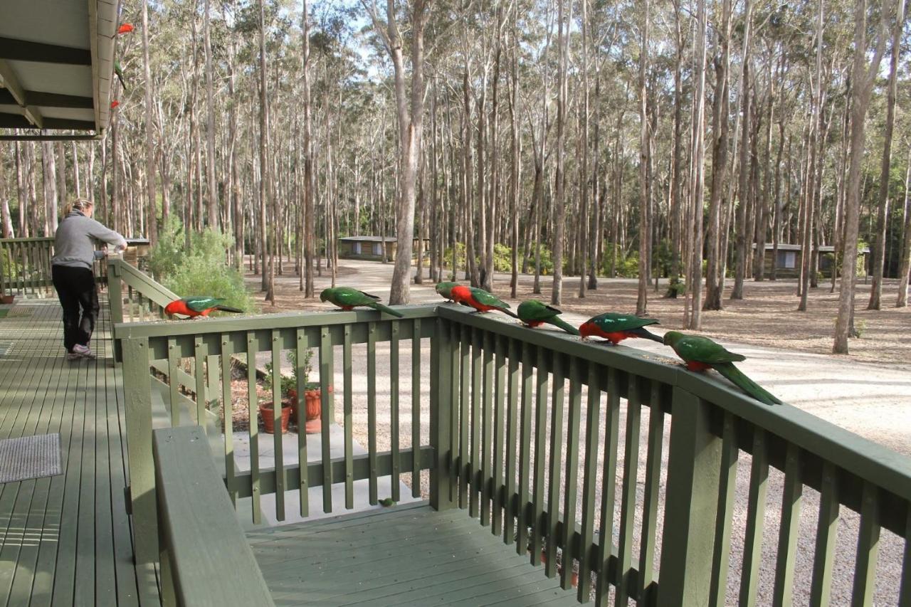 Lakes Entrance Log Cabins Экстерьер фото