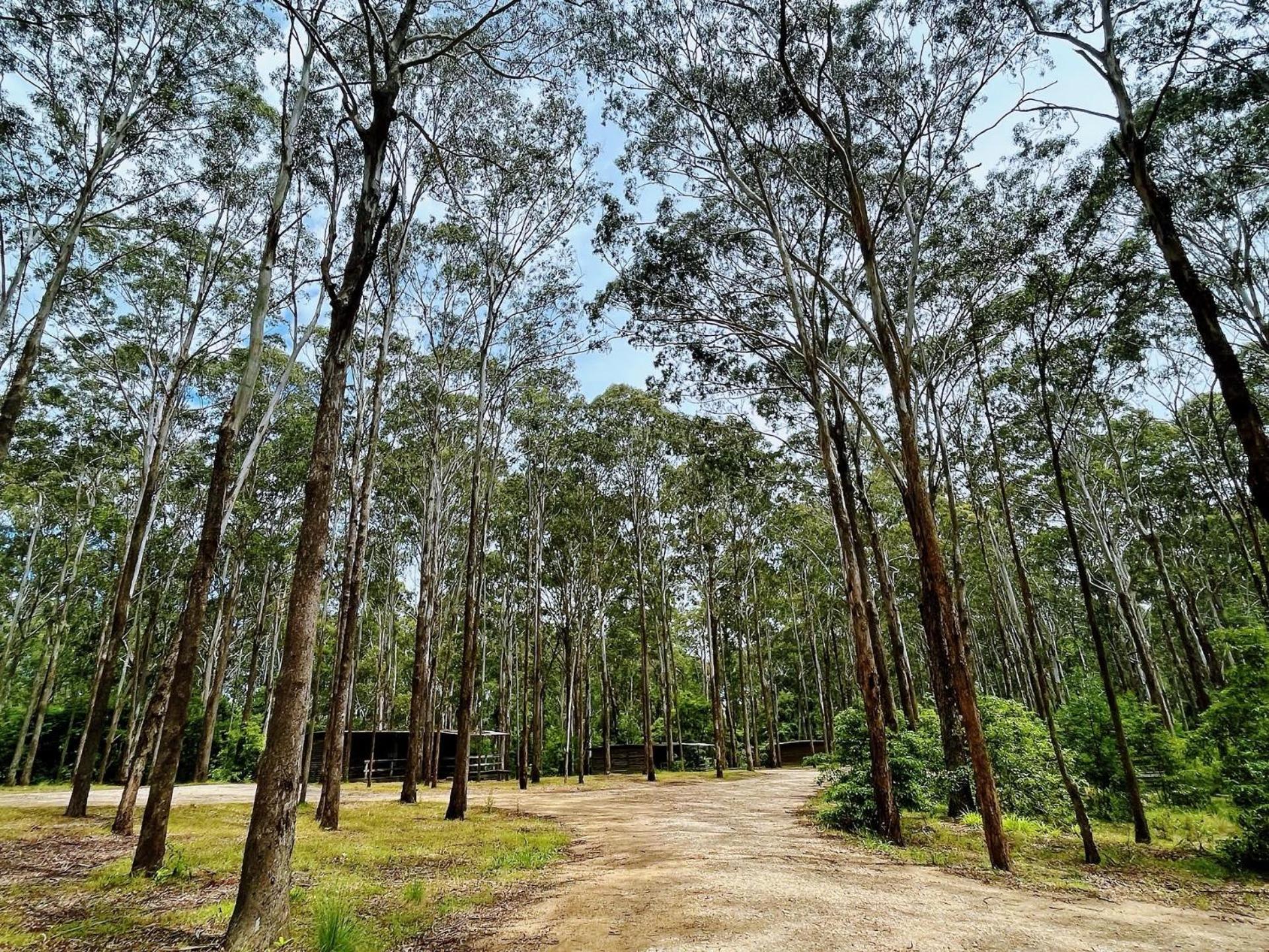 Lakes Entrance Log Cabins Экстерьер фото